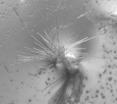 Agilent Technologies Supports International Year of Crystallography.