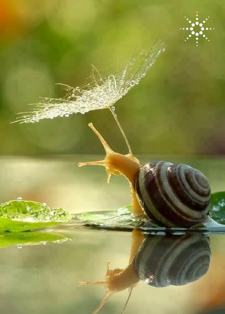 El compromiso medio ambiental de Agilent