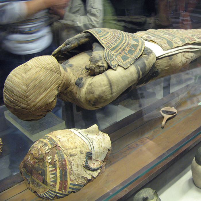 Lo que las momias nos revelan