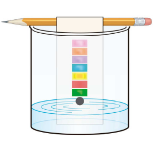 La historia de la cromatografía de gases