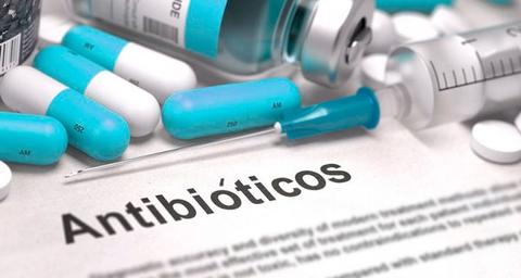 ¿Adiós antibióticos?
