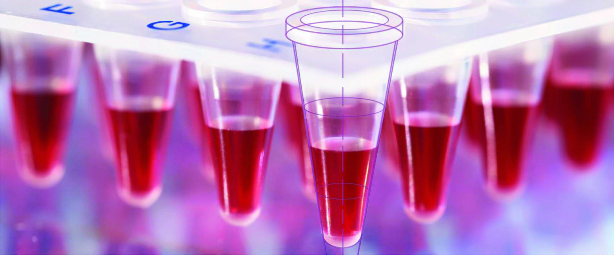 Oferta productos Brand