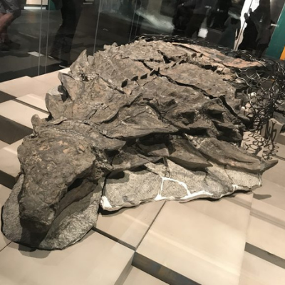 Agilent y el asombroso dinosaurio pelirrojo