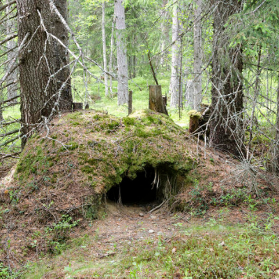 ¿Hibernaban los caballos prehistóricos?
