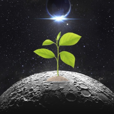 ¿Podemos cultivar plantas en el espacio exterior?