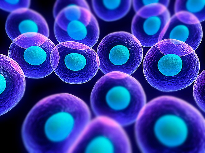 ¿Realiza técnicas de biología molecular? Asegure una descontaminación específica frente a ácidos nucleicos