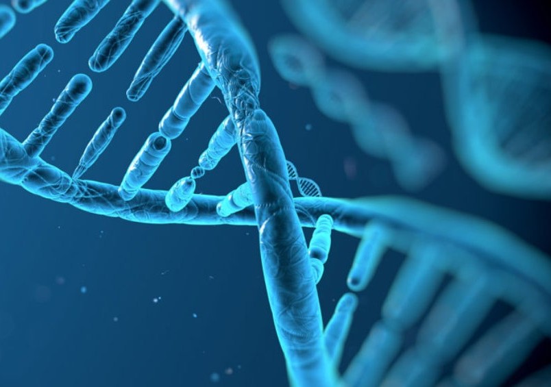 Control avanzado de la contaminación cruzada en laboratorio: Eficacia probada frente a ADN, ARN, hongos y bacterias